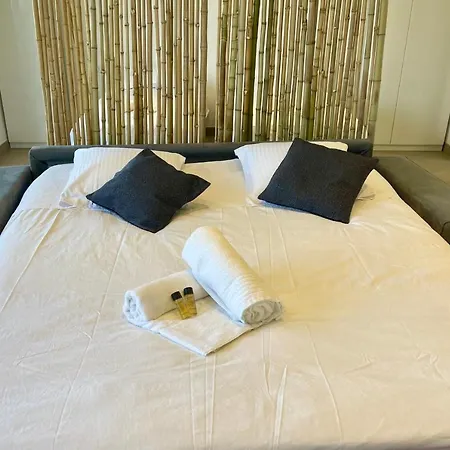 Bnb Renting Le Cedre Spacious Studio In With A Balcony Wifi And Ac *