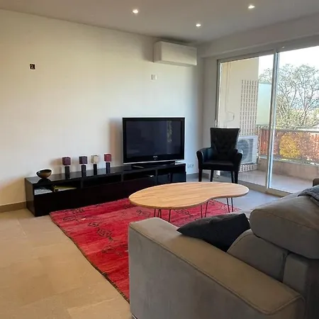 Bnb Renting Le Cedre Spacious Studio In With A Balcony Wifi And Ac Apartment Cannes