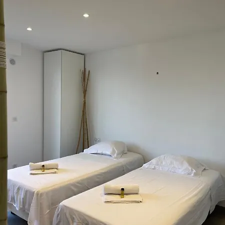 Bnb Renting Le Cedre Spacious Studio In With A Balcony Wifi And Ac Apartment Cannes